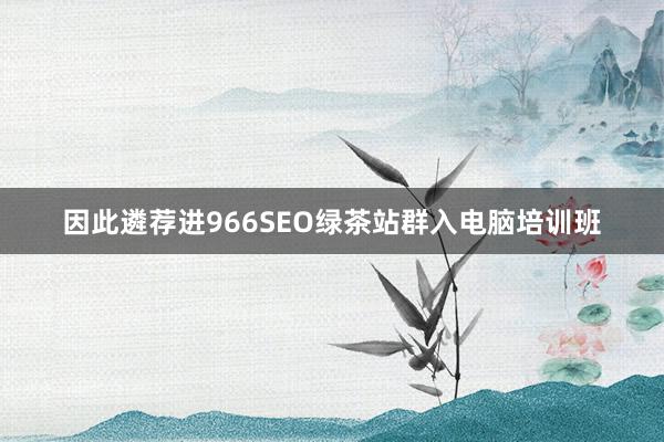 因此遴荐进966SEO绿茶站群入电脑培训班