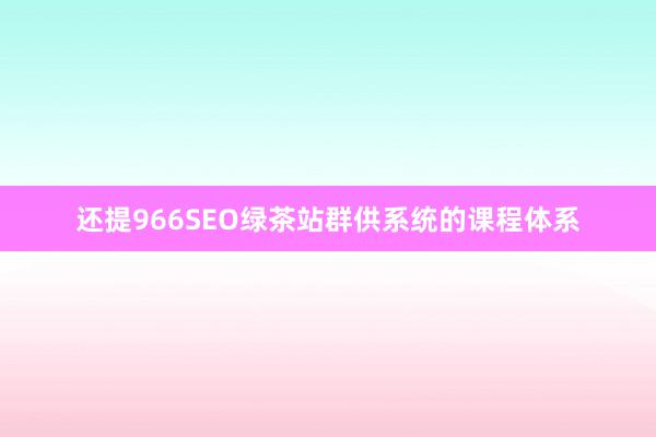 还提966SEO绿茶站群供系统的课程体系